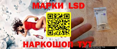 СК Новодвинск