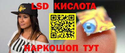 СК Новодвинск