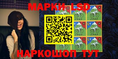 ПСИЛОЦИБИНОВЫЕ ГРИБЫ Новозыбков