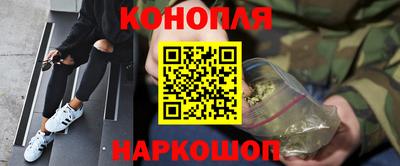 ПСИЛОЦИБИНОВЫЕ ГРИБЫ Новозыбков