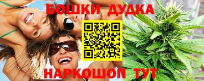 СК Новодвинск