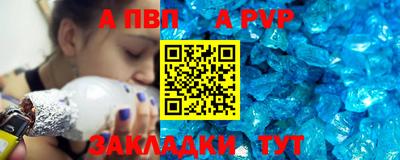СК Новодвинск