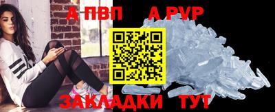 СК Новодвинск