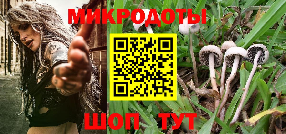 Псилоцибиновые грибы Psilocybe  наркошоп  Ялуторовск  Вход с VPN 